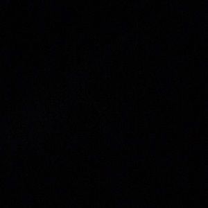 Meet your Posher, Shane